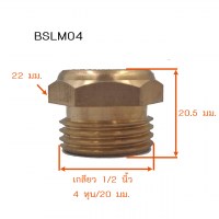 BSLM04 วัดไซต์